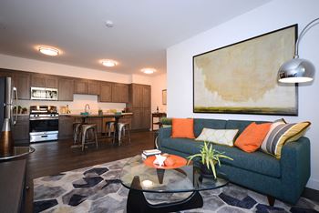 Yolo apartments furnished living room